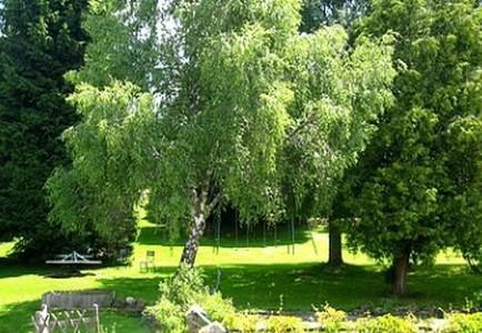 Hotel La Clairiere Chambon-sur-Dolore Экстерьер фото